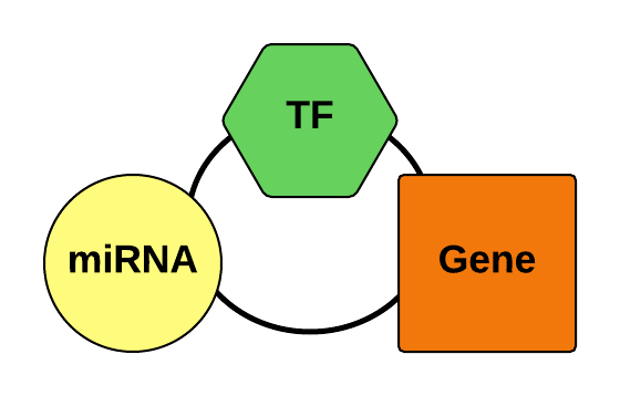 Disease specific interaction network