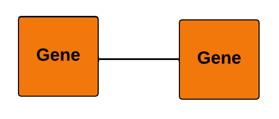 show gene to gene interactions