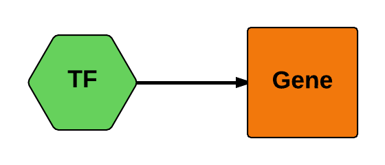 TF -> Gene interaction