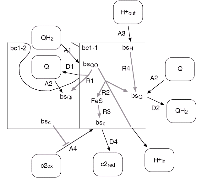 Reactions of the bc1